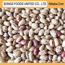 Price of white kidney beans